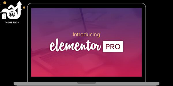 Elementor Pro