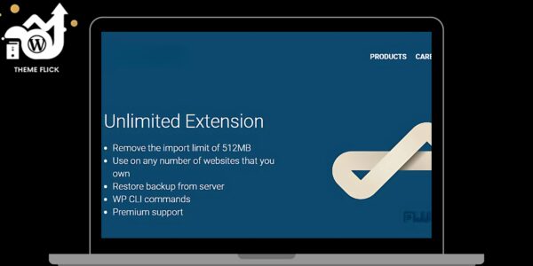 All in One WP Migration Unlimited Extension – ServMask