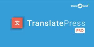 TranslatePress Pro 2.9.13 + Multilingual Business Plan 1.6.2