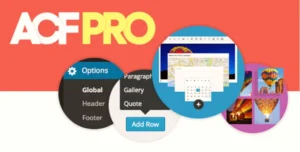 Advanced Custom Fields (ACF) Pro 6.4.2