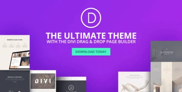 Elegant Themes The Divi Builder