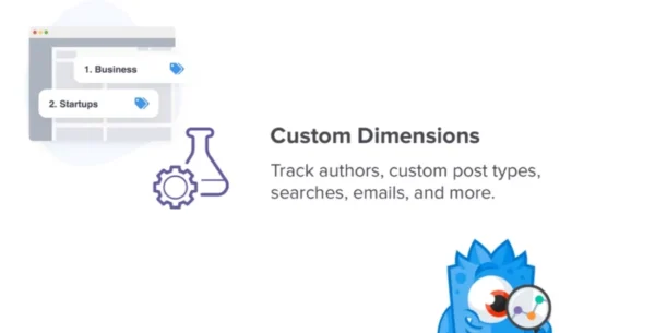 MonsterInsights Custom Dimensions Addon