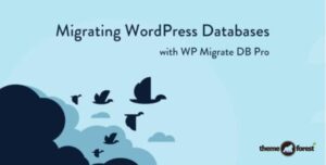 WP Migrate DB Pro – WordPress Site Migration Plugin