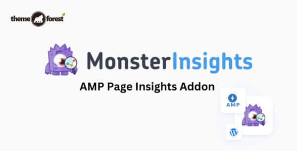 MonsterInsights AMP Page Insights Addon