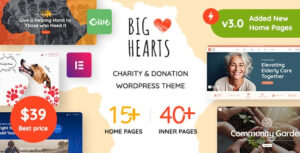 BigHearts Theme – Charity & Donation WordPress Theme