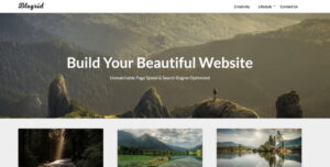 Blogrid Theme – Superb Themes