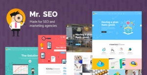 Mr. SEO Theme – Social Media Marketing Agency Theme