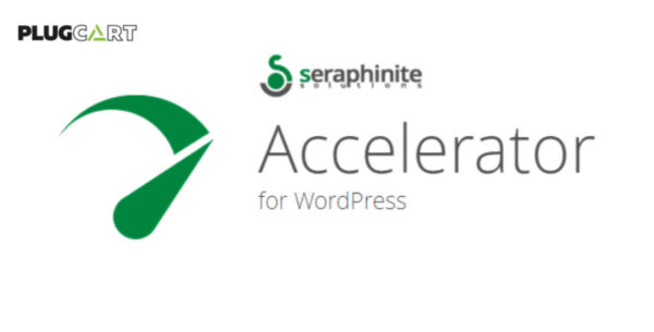 Seraphinite Accelerator