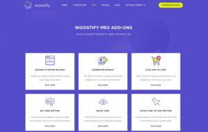 Woostify Pro Addons