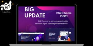 Ryse – SEO & Digital Marketing Theme